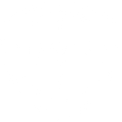 Lancia Touch Up Paint