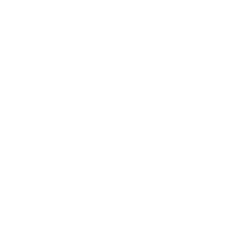 Tesla Touch Up Paint