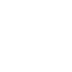 Rover Touch Up Paint