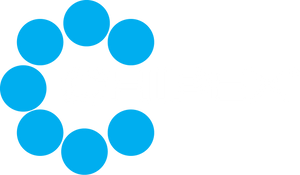 Chipex USA
