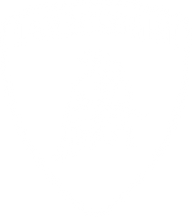 Lamborghini Touch Up Paint