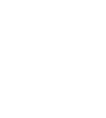Proton Touch Up Paint