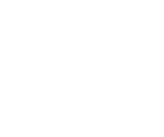Renault Touch Up Paint