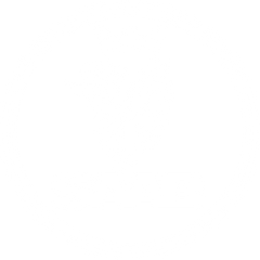 Saab Touch Up Paint