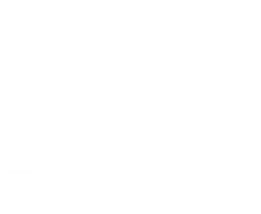 Toyota Touch Up Paint