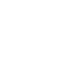 POLESTAR Logo