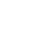 SKODA Logo