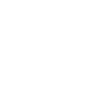 Holden Logo