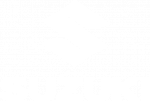 Suzuki Logo
